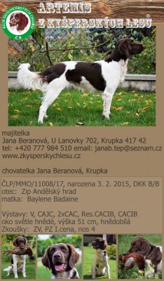 artemis-z-kysperskych-lesu-768x1312.jpg
