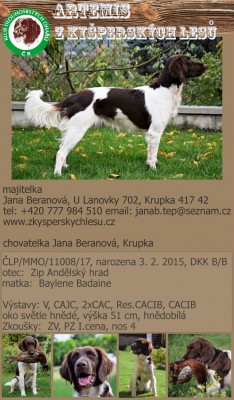 artemis-z-kysperskych-lesu-768x1312.jpg